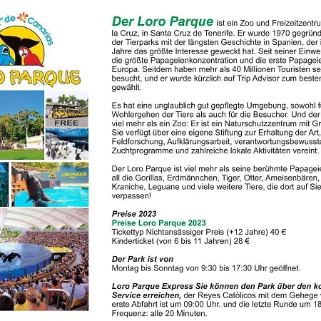 - Sun House - Holidays - Appartamento