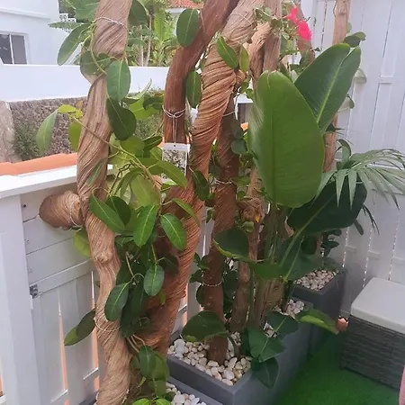 Apartament - Sun House - Holidays -