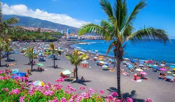 - Sun House - Holidays - *