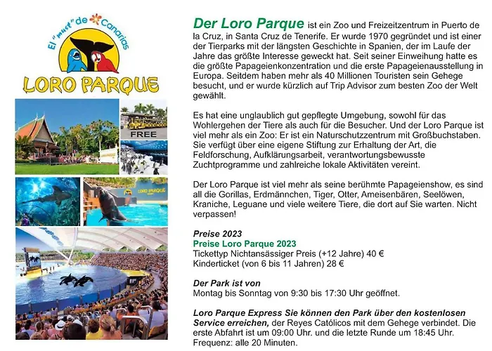 - Sun House - Holidays - Daire